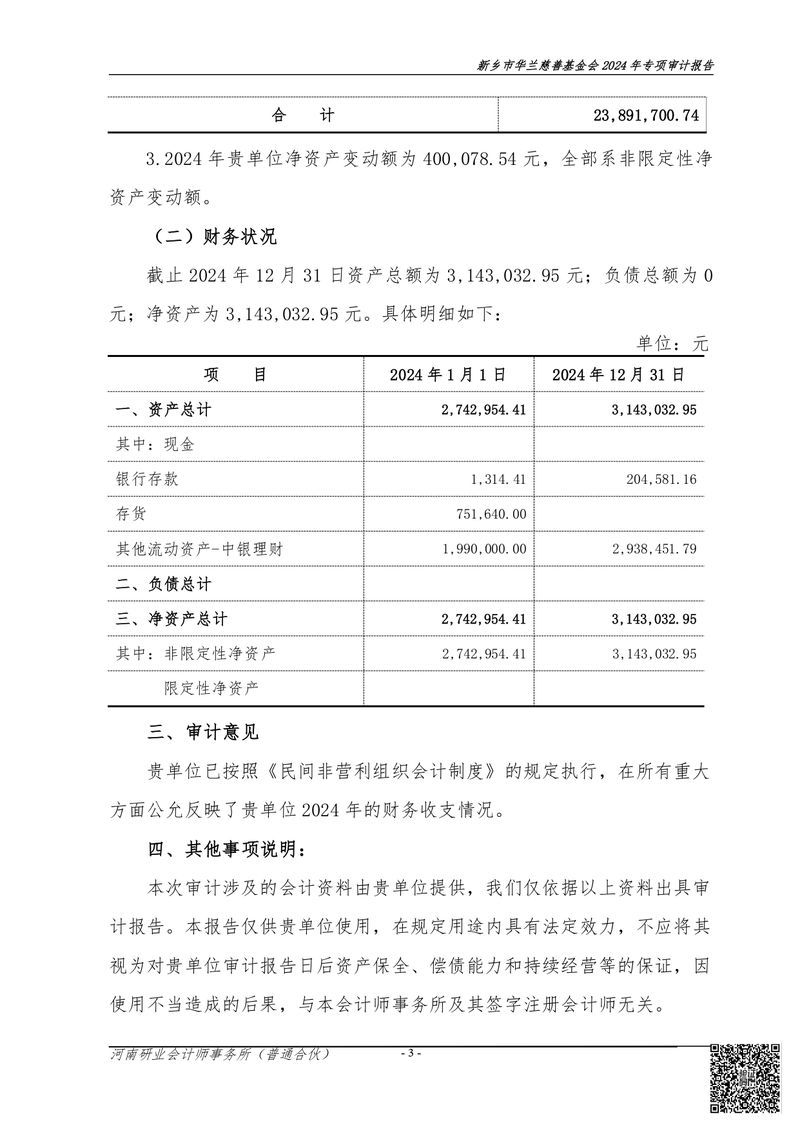 2024年专项审计报告_page-0004